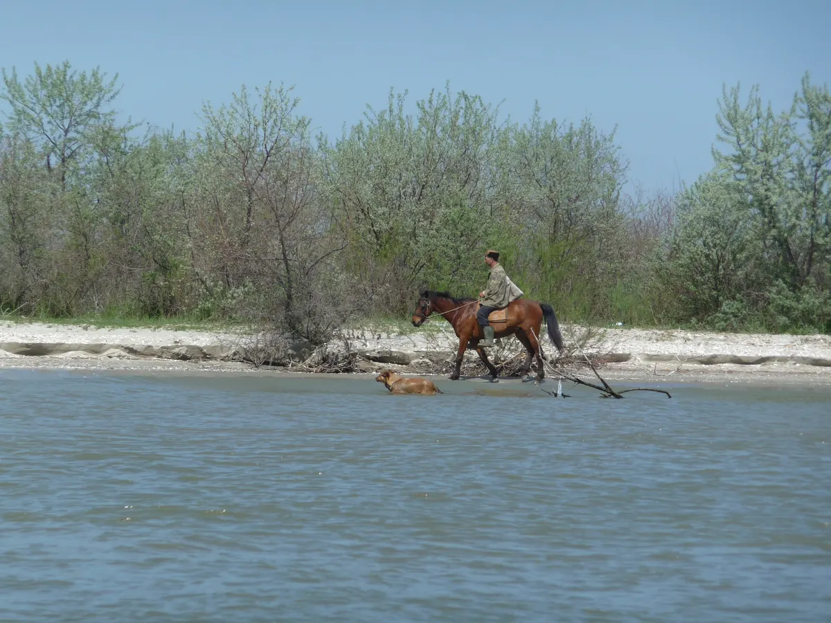 Rider crossing the water on a Danube Delta bank