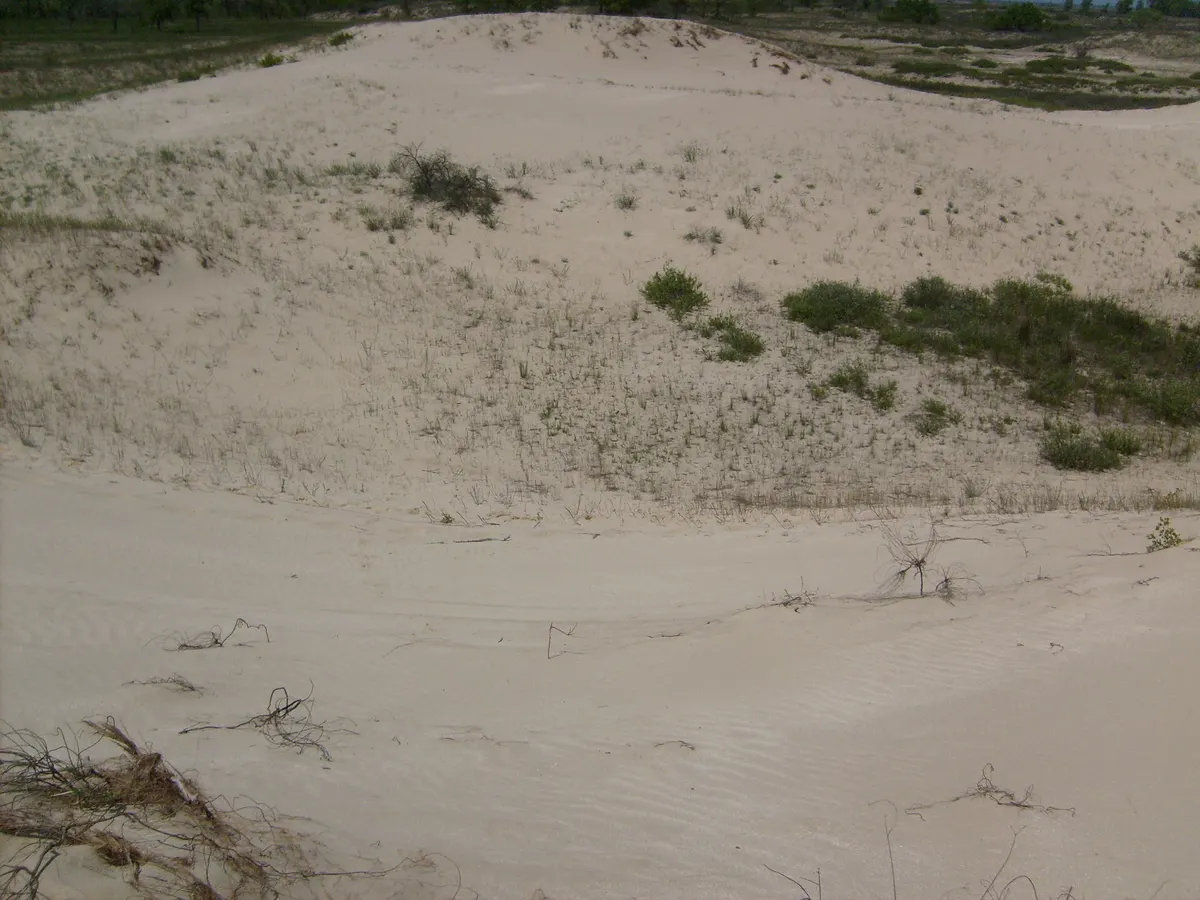 Sand dunes on the Caraorman ridge