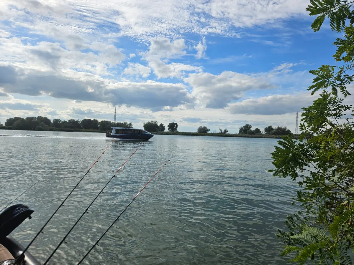 Fishing rods out from a boat on the Danube