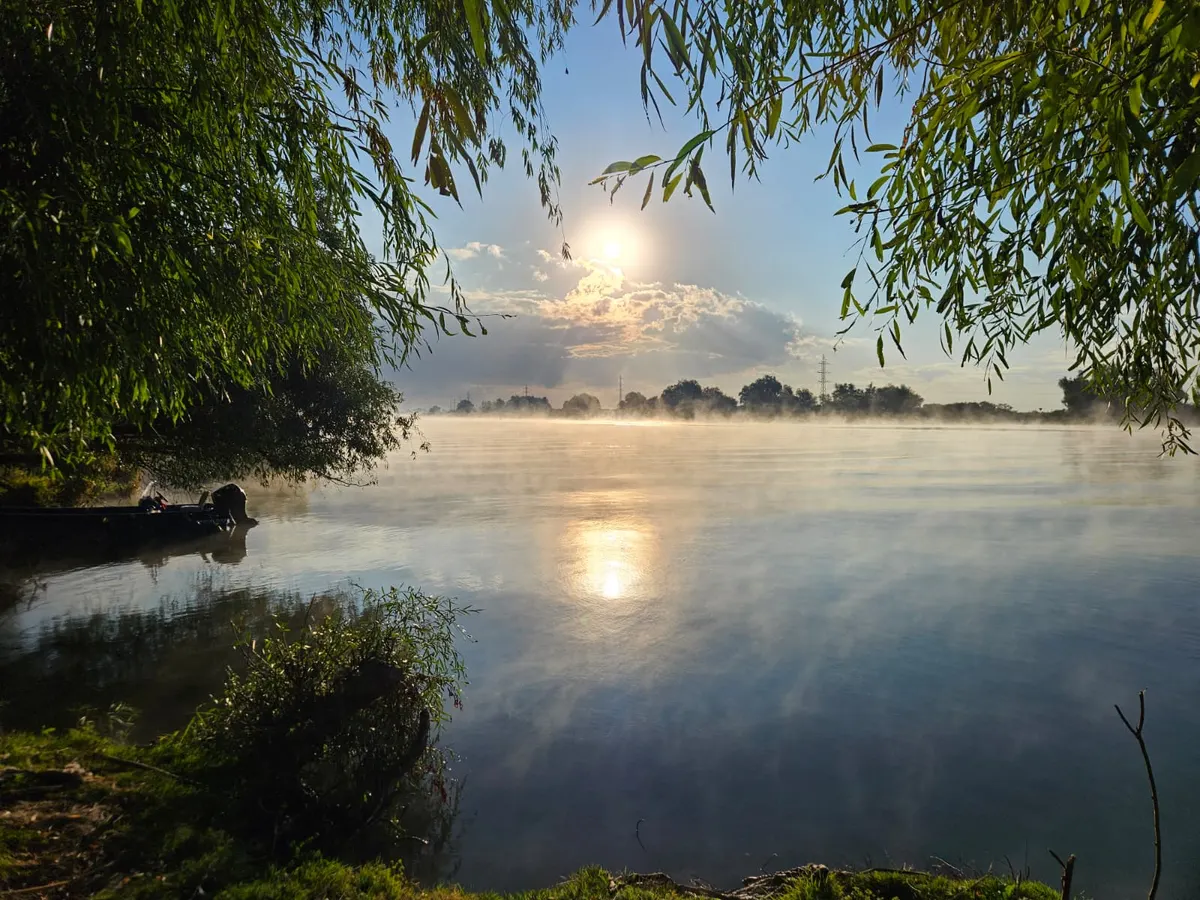 Misty sunrise over the water, between willows
