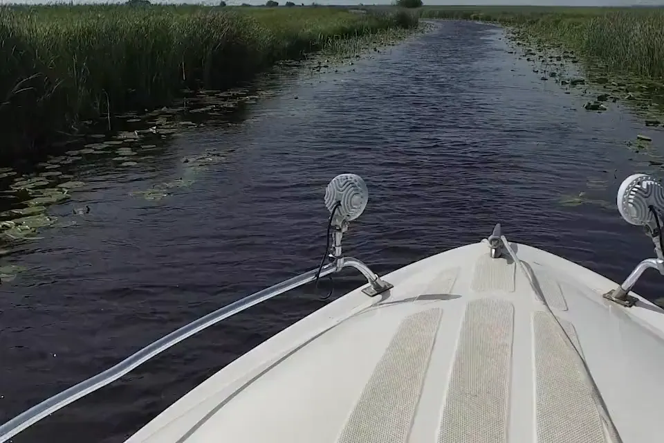 Boat bow on a reed and water lily channel in the Danube Delta